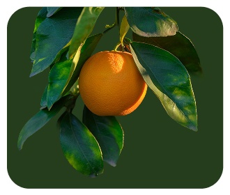 Naranja